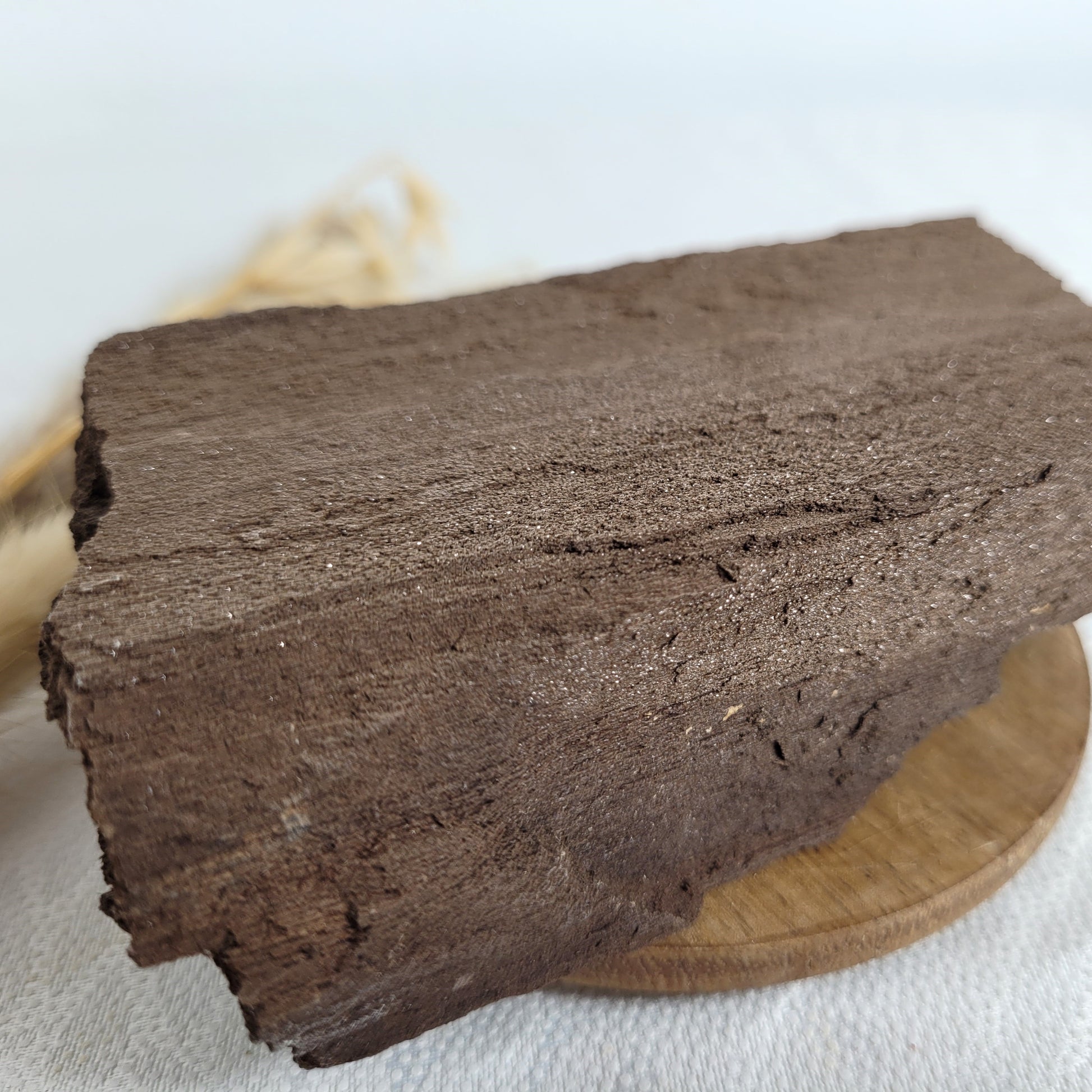 Versteinertes Holz mit Quarzkristallen