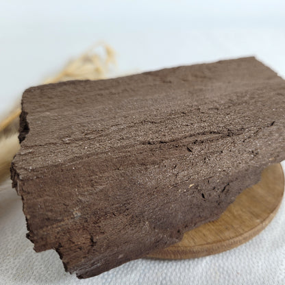 Versteinertes Holz mit Quarzkristallen
