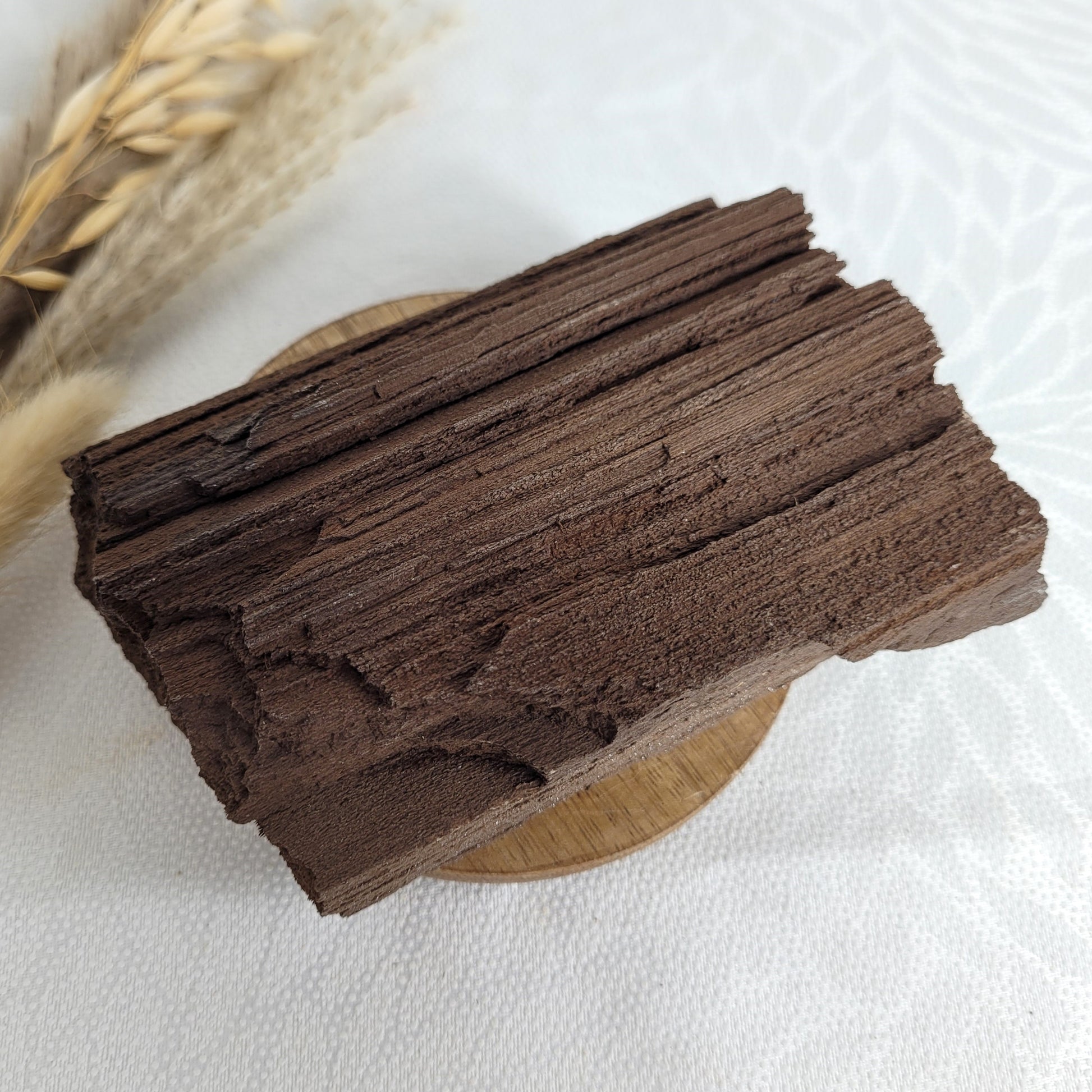 Versteinertes Holz mit Quarzkristallen