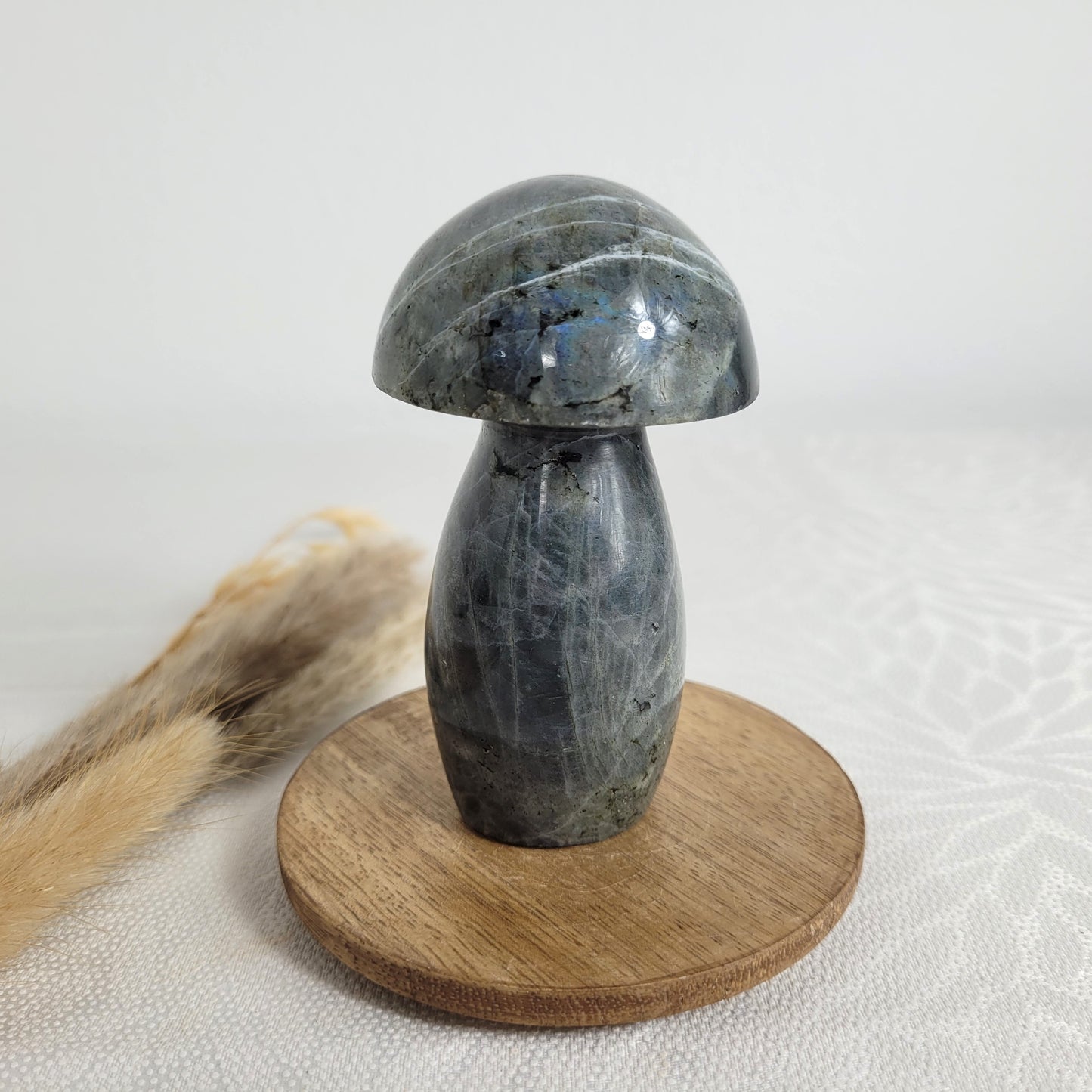 Labradorit Pilz