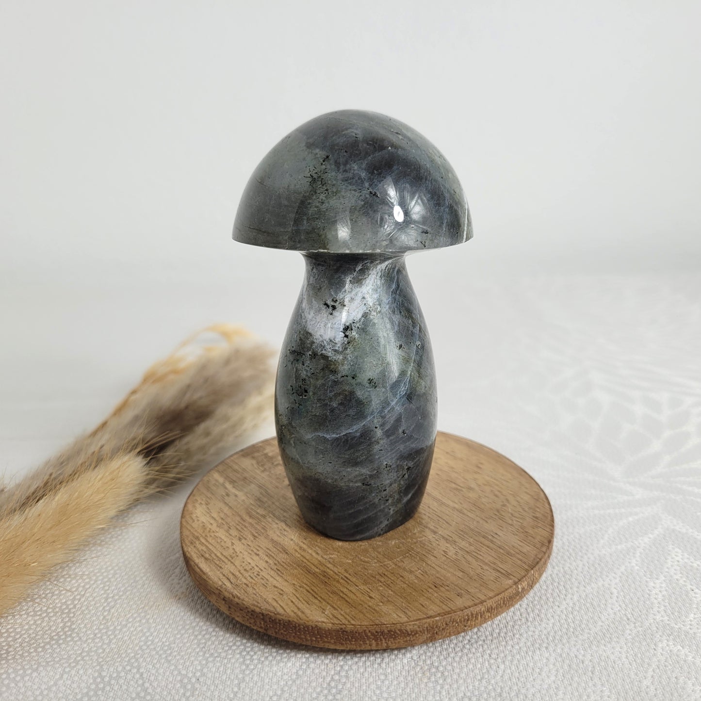 Labradorit Pilz