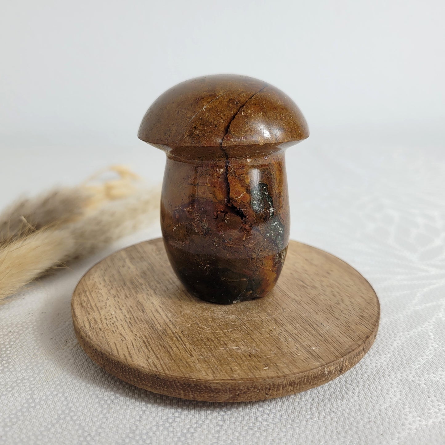 Ozean Jaspis Pilz