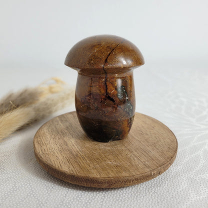 Ozean Jaspis Pilz
