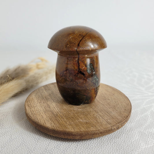 Ozean Jaspis Pilz
