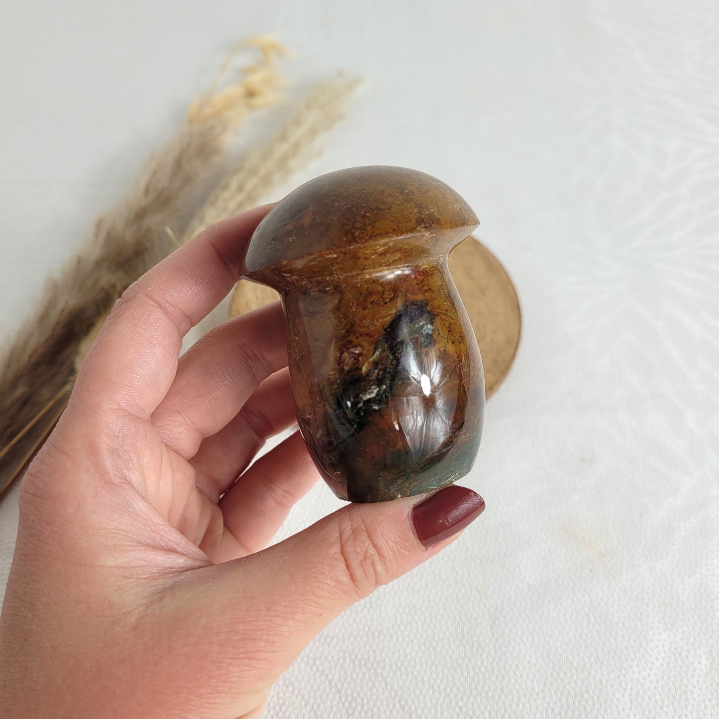 Ozean Jaspis Pilz