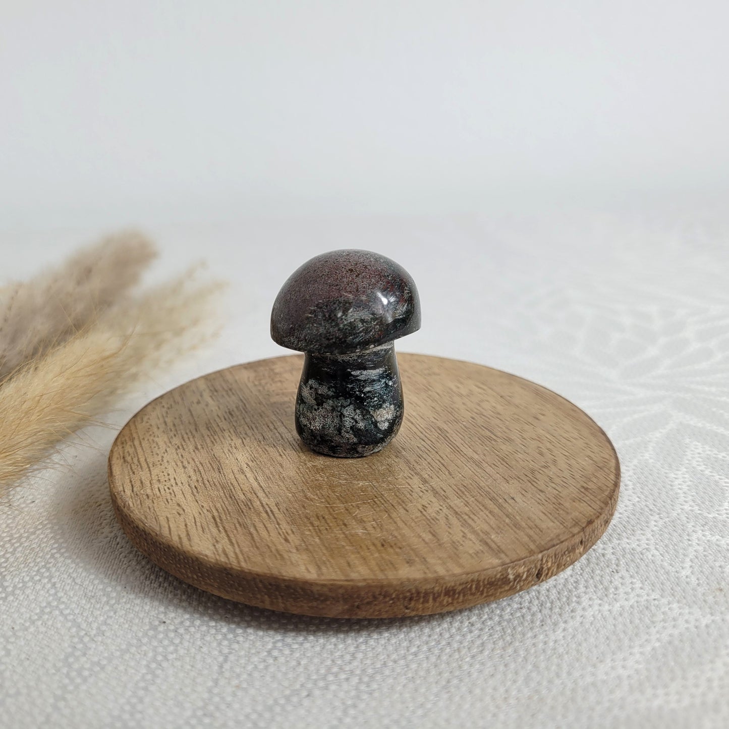 Ozean Jaspis Mini Pilz