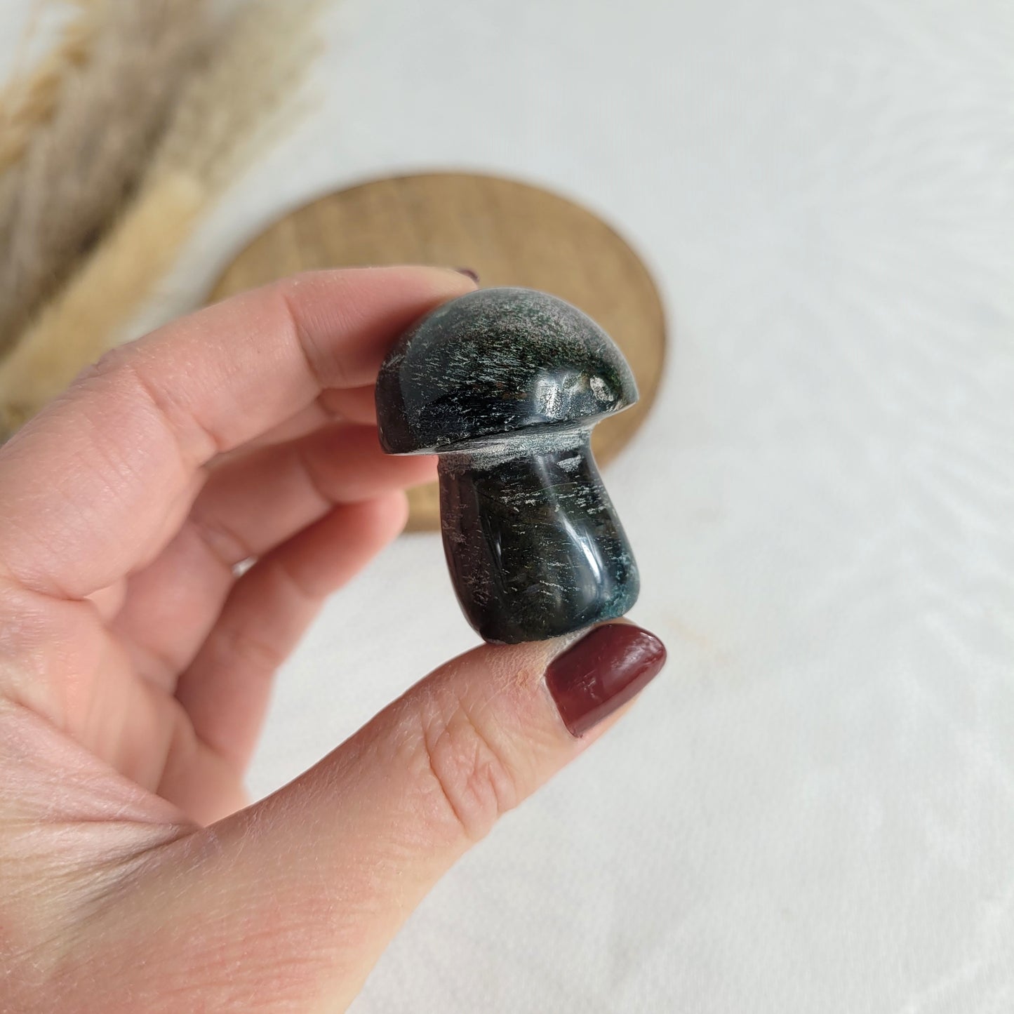 Ozean Jaspis Mini Pilz