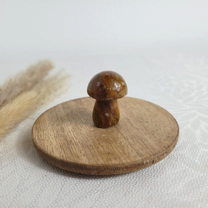 Ozean Jaspis Mini Pilz