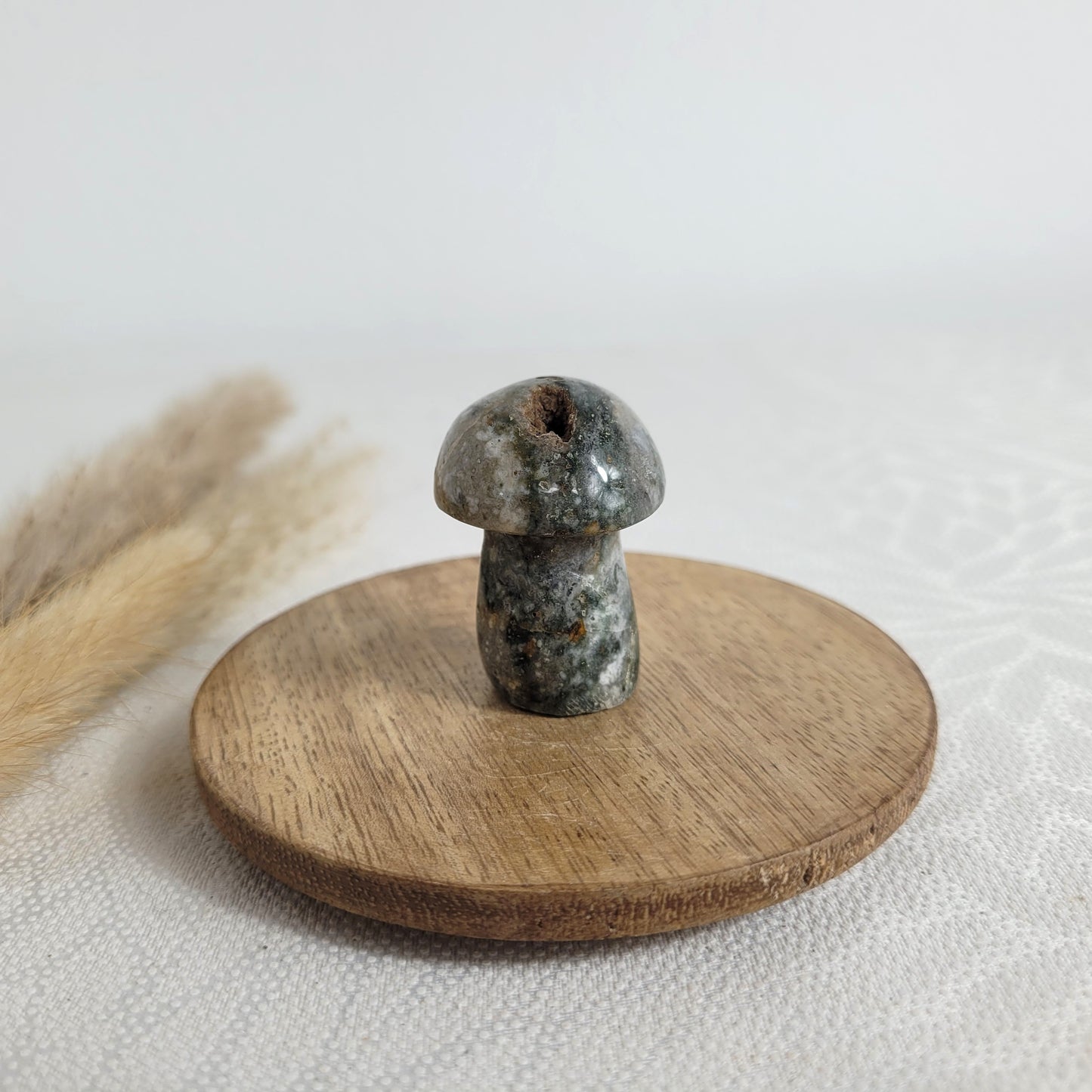 Ozean Jaspis Mini Pilz