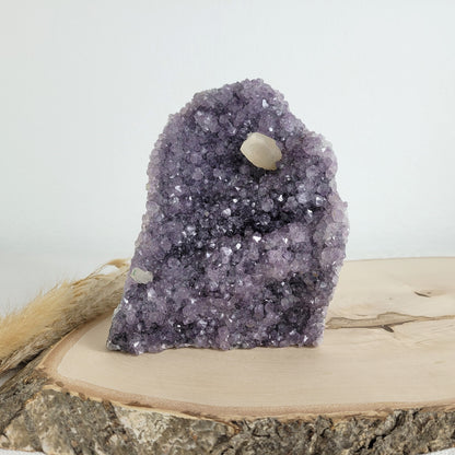 Amethyst Kristalldruse mit Calcit