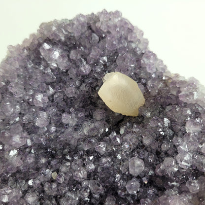 Amethyst Kristalldruse mit Calcit