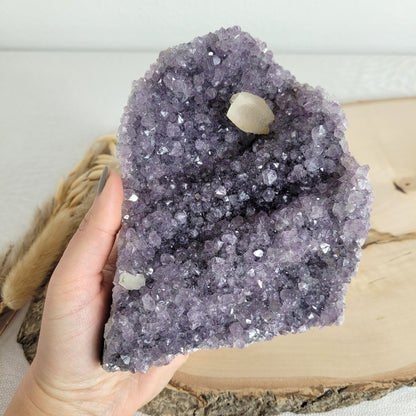 Amethyst Kristalldruse mit Calcit