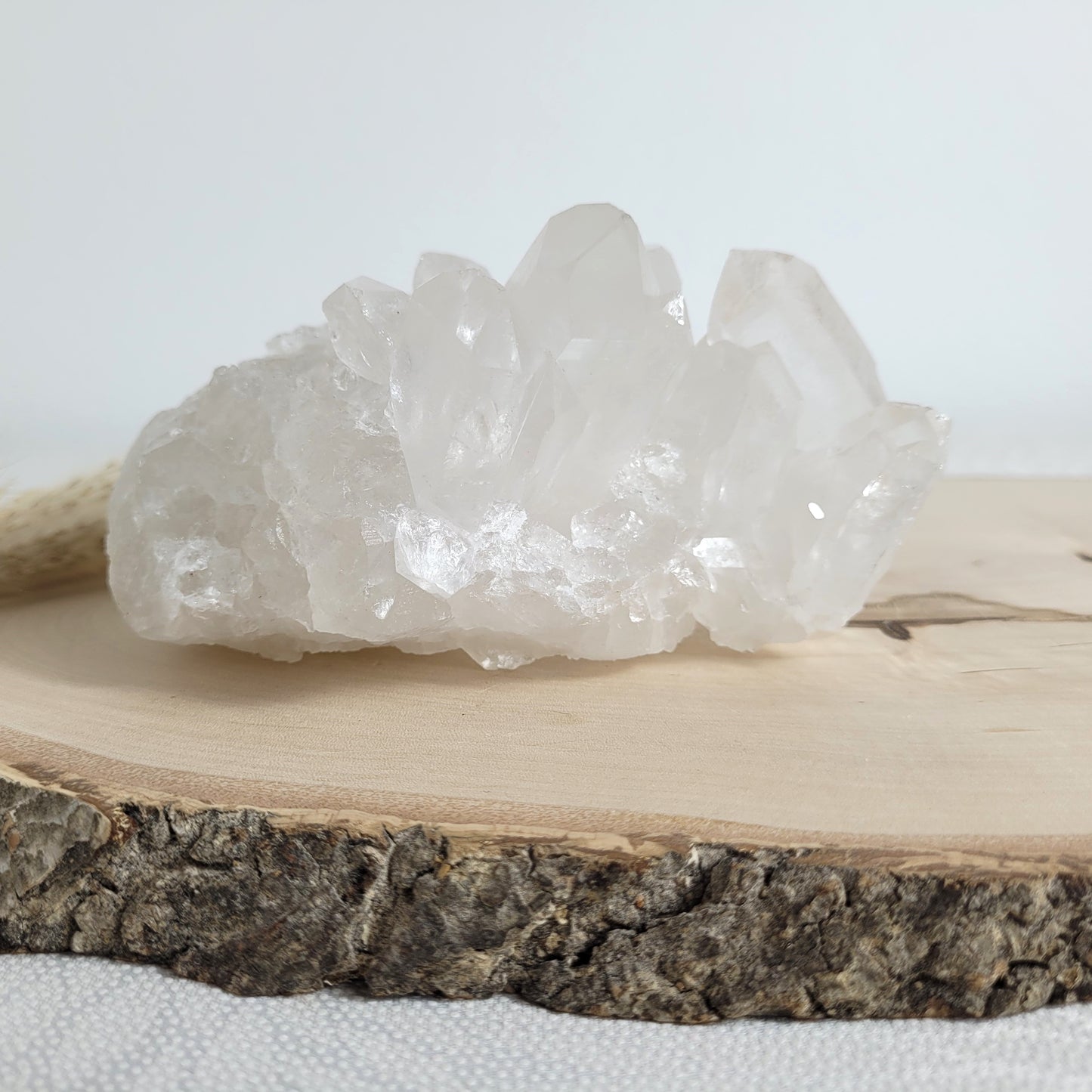 Bergkristall Naturstufe mit klaren Kristallen, platziert auf einer Holzscheibe, neutraler Hintergrund.