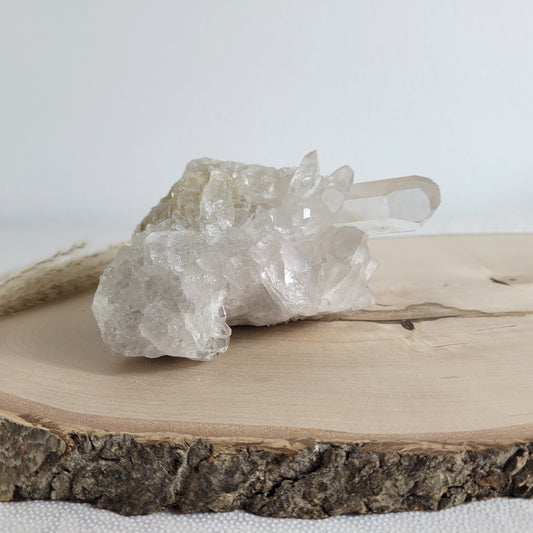 Bergkristall Naturstufe mit klaren Kristallen, platziert auf einer Holzscheibe, neutraler Hintergrund.