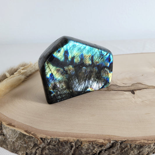 Labradorit Freiform mit natürlichem, intensivem Farbspiel, präsentiert auf einer Holzscheibe. Die typische Lamellenstruktur bricht das Licht auf besondere Weise und macht das Stück zu einem besonderen Blickfang.