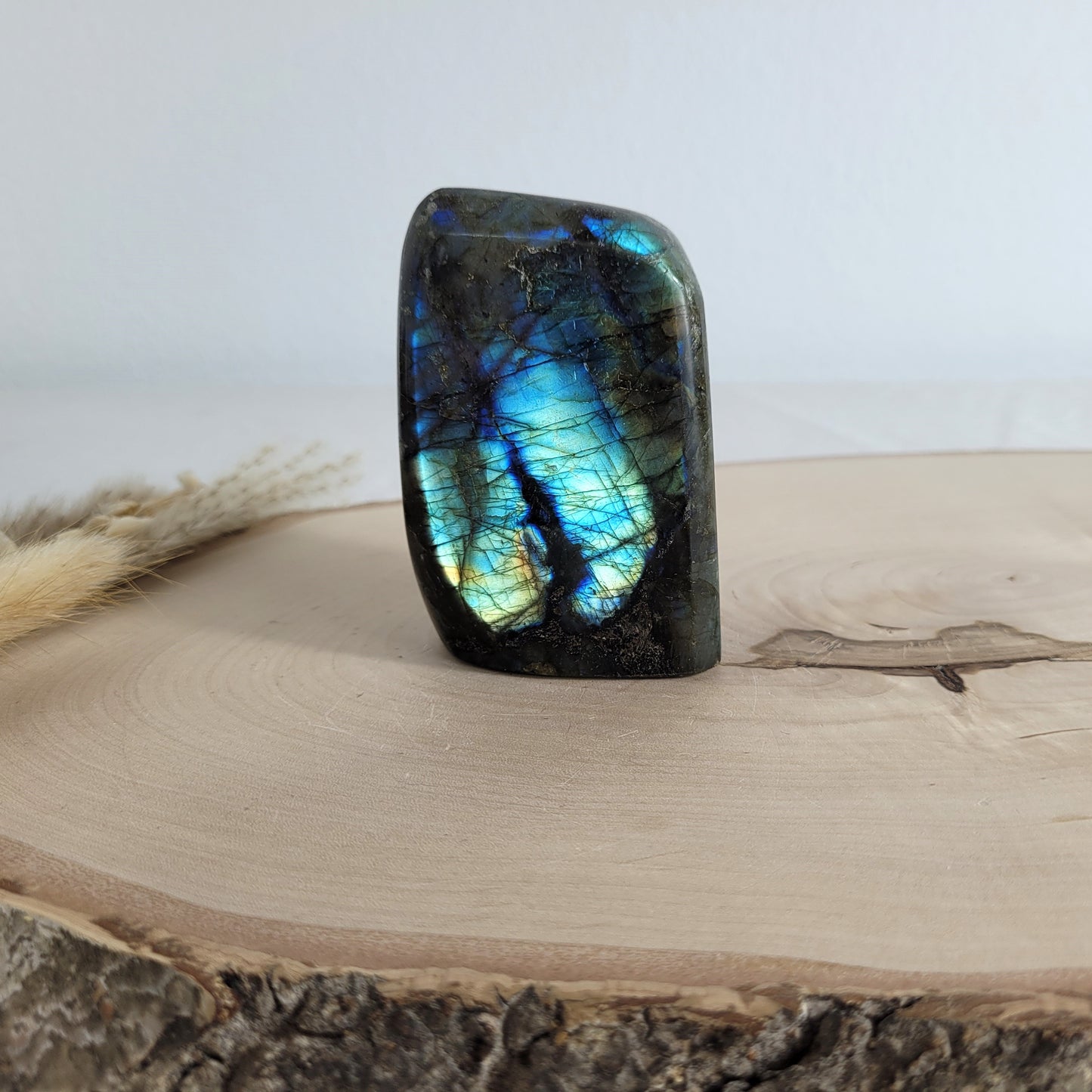 Labradorit Freiform mit natürlichem, intensivem Farbspiel, präsentiert auf einer Holzscheibe. Die typische Lamellenstruktur bricht das Licht auf besondere Weise und macht das Stück zu einem besonderen Blickfang.
