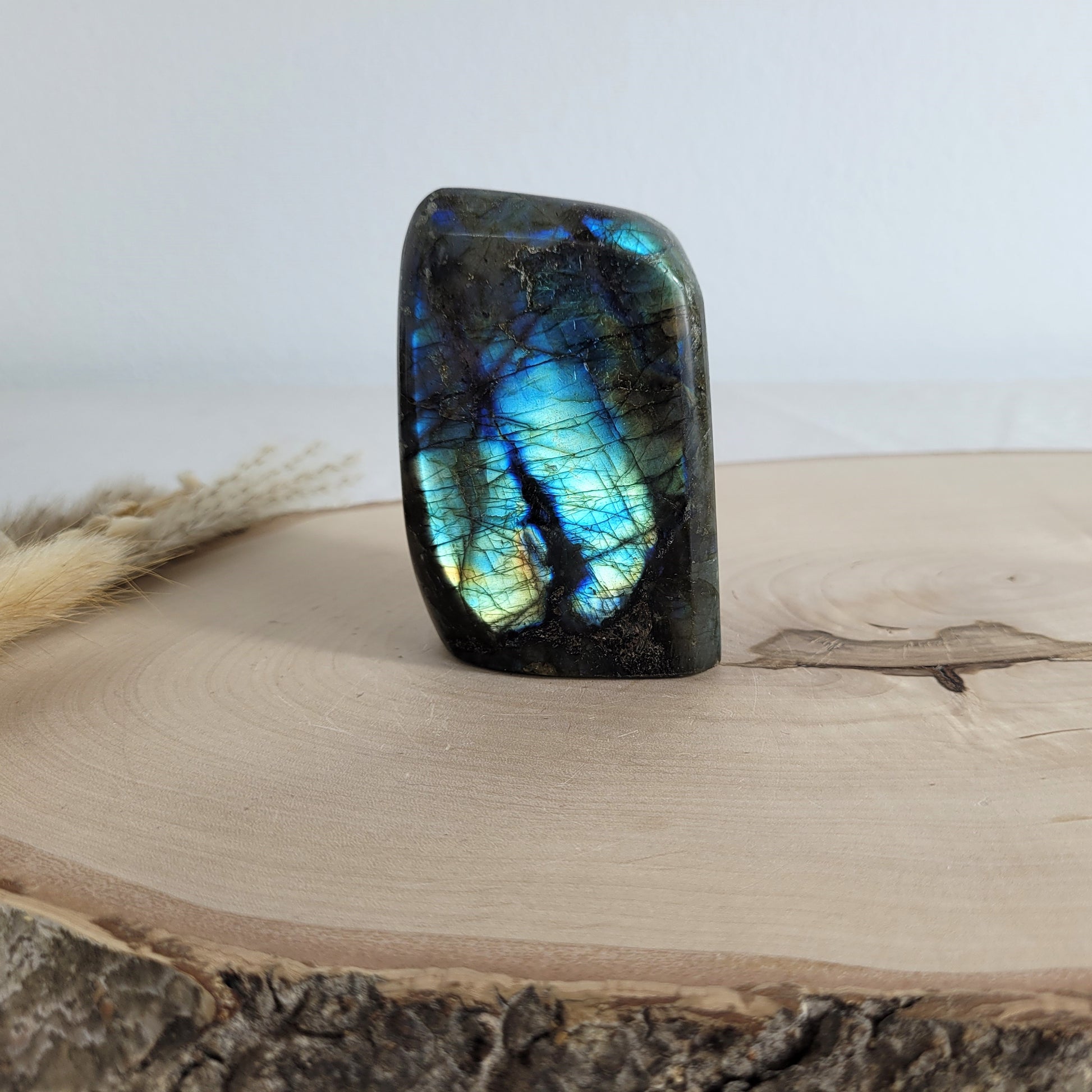 Labradorit Freiform mit natürlichem, intensivem Farbspiel, präsentiert auf einer Holzscheibe. Die typische Lamellenstruktur bricht das Licht auf besondere Weise und macht das Stück zu einem besonderen Blickfang.