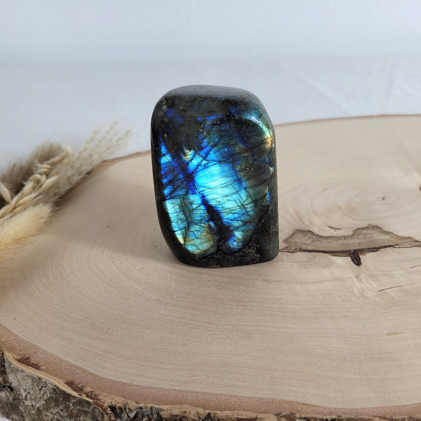 Labradorit Freiform mit natürlichem, intensivem Farbspiel, präsentiert auf einer Holzscheibe. Die typische Lamellenstruktur bricht das Licht auf besondere Weise und macht das Stück zu einem besonderen Blickfang.