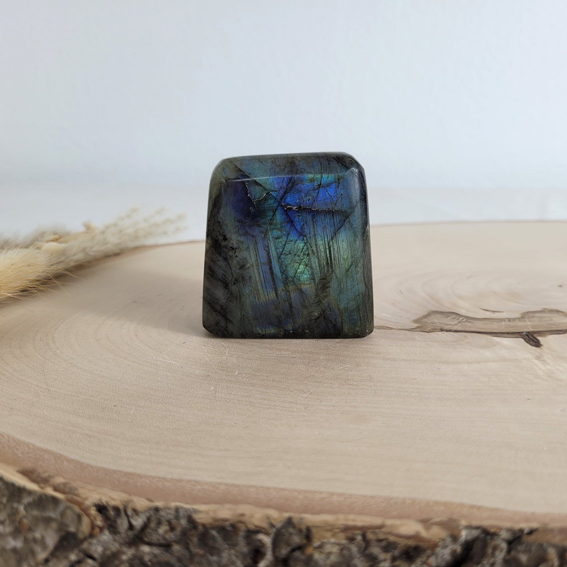 Labradorit Freiform mit natürlichem, intensivem Farbspiel, präsentiert auf einer Holzscheibe. Die typische Lamellenstruktur bricht das Licht auf besondere Weise und macht das Stück zu einem besonderen Blickfang.