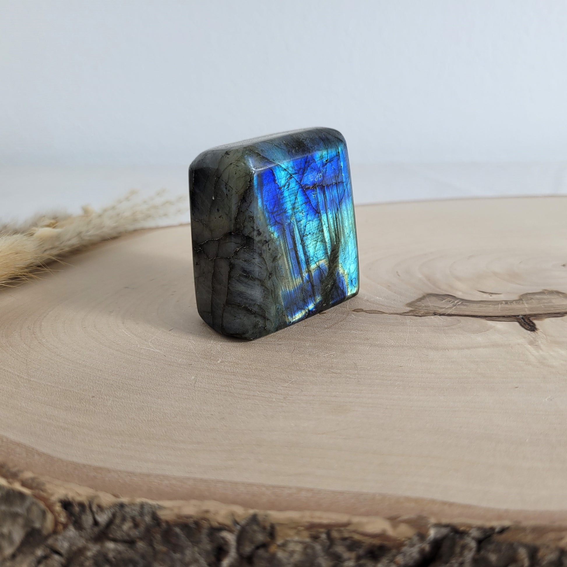 Labradorit Freiform mit natürlichem, intensivem Farbspiel, präsentiert auf einer Holzscheibe. Die typische Lamellenstruktur bricht das Licht auf besondere Weise und macht das Stück zu einem besonderen Blickfang.