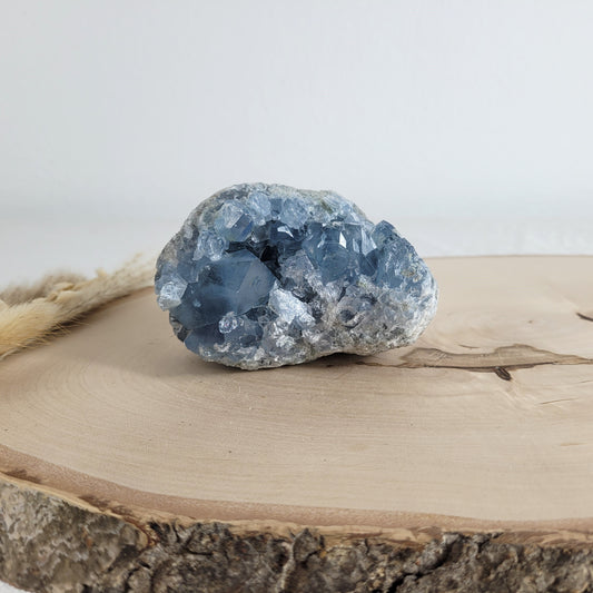 Coelestin-Kristallstufe mit zartblauen Kristallen, schön gewachsen und natürlich belassen. Präsentiert auf einer schlichten Holzscheibe – ein Stück Erdgeschichte in purer Form.