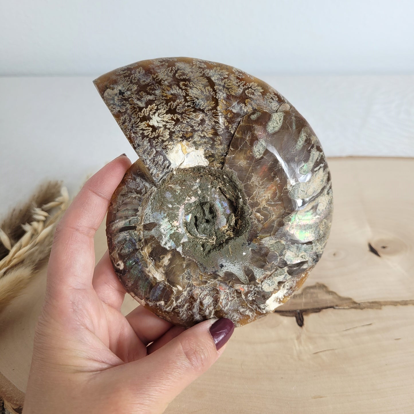 Ammoniten Fossilien Paar auf Holzscheibe mit Aufsteller – beide Hälften mit Kristallkammern, irisierender Schale und Dendriten.