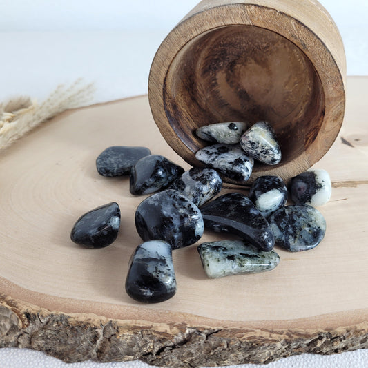 Pegmatit Nephelin-Syenit Trommelstein mit seltenen Mineralien auf einer Holzscheibe fotografiert.