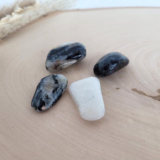 Pegmatit Nephelin-Syenit Trommelstein mit seltenen Mineralien auf einer Holzscheibe fotografiert.