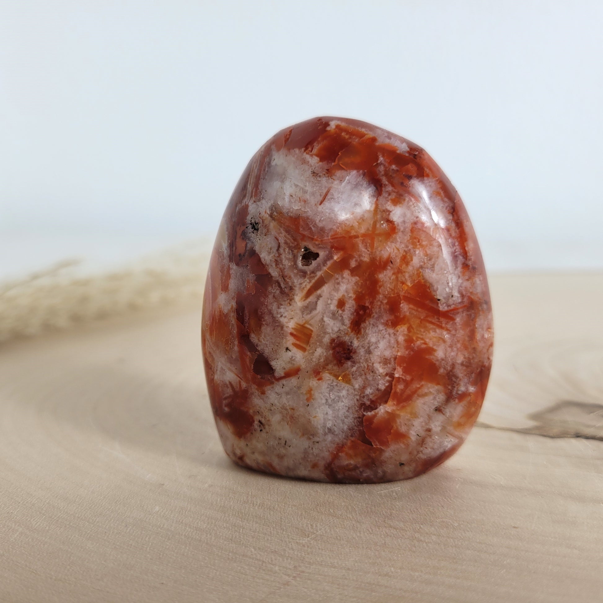 Diese Brekzien Jaspis Freiform zeigt intensive Naturfarben und wilde Muster. Durchzogen von Chalcedon-Adern, die teils kristallin und teils opalisierend sind, entsteht eine faszinierende Tiefe.