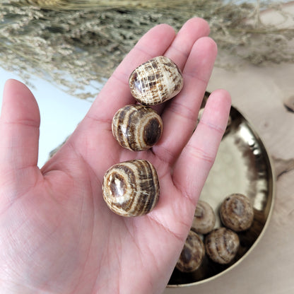 Brauner gebänderter Aragonit Trommelstein