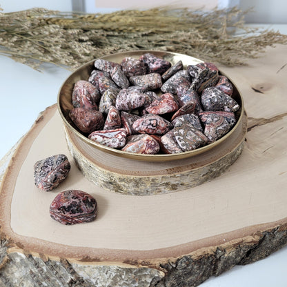 Leoparden Jaspis Trommelstein