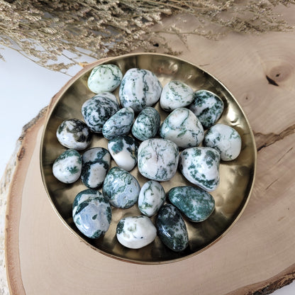 Baumachat Trommelstein