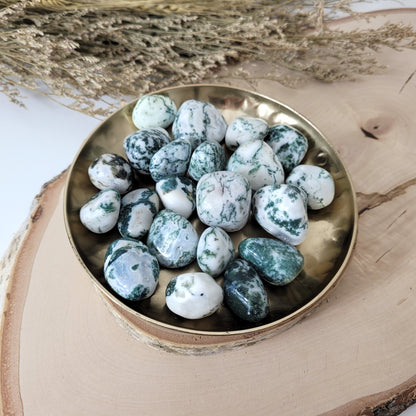 Baumachat Trommelstein