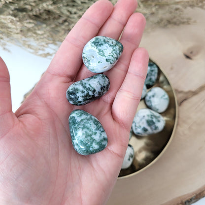 Baumachat Trommelstein