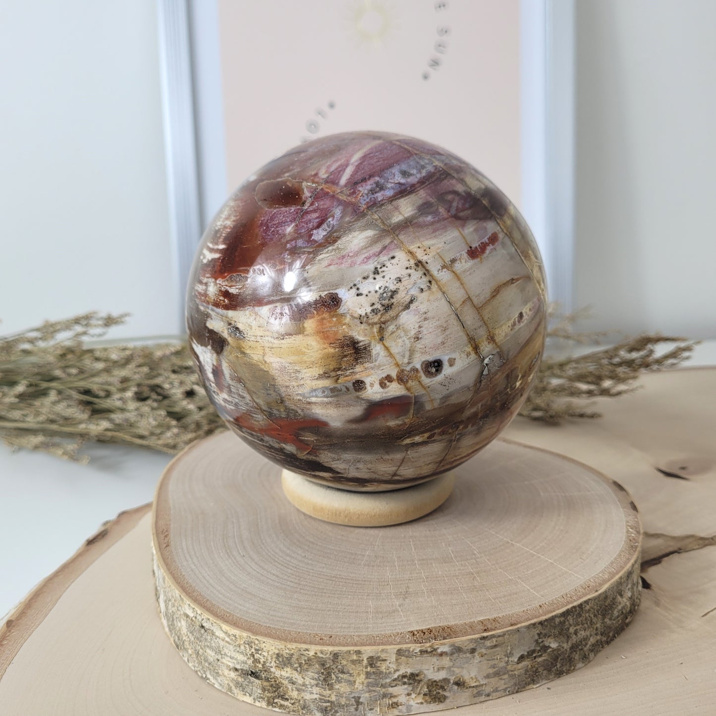 Versteinertes Holz XL Kugel 10,1cm Durchmesser,  1597g