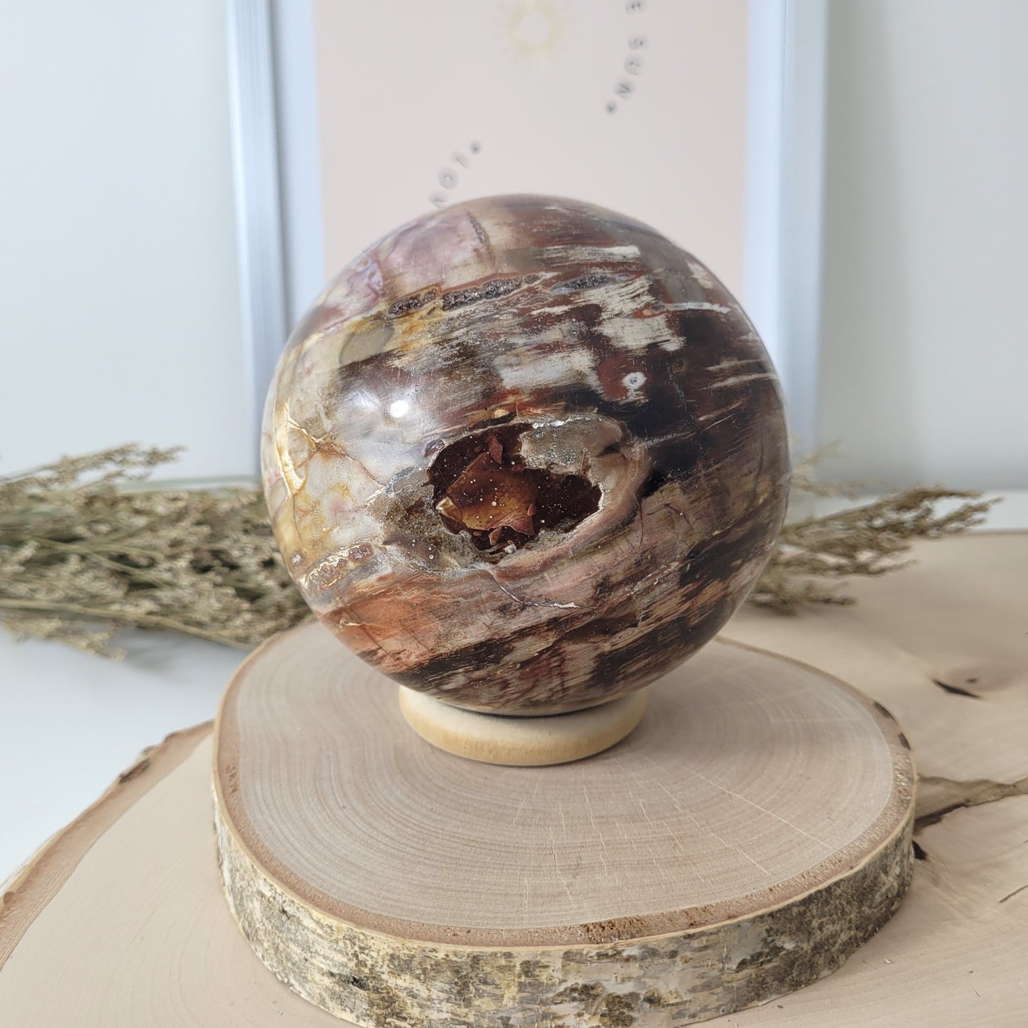 Versteinertes Holz XL Kugel 10,1cm Durchmesser,  1597g