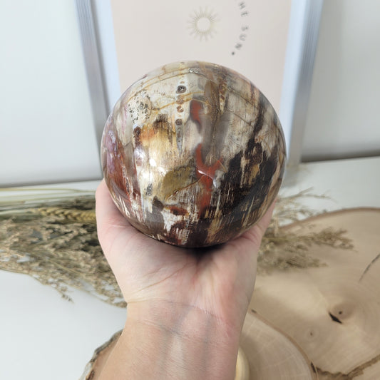 Versteinertes Holz XL Kugel 10,1cm Durchmesser,  1597g