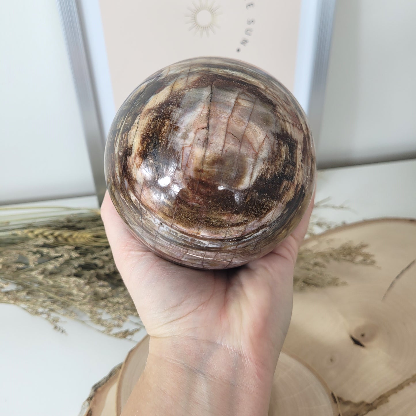 Versteinertes Holz XL Kugel 10,1cm Durchmesser,  1597g