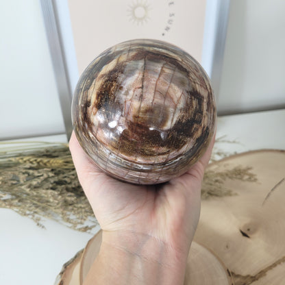 Versteinertes Holz XL Kugel 10,1cm Durchmesser,  1597g