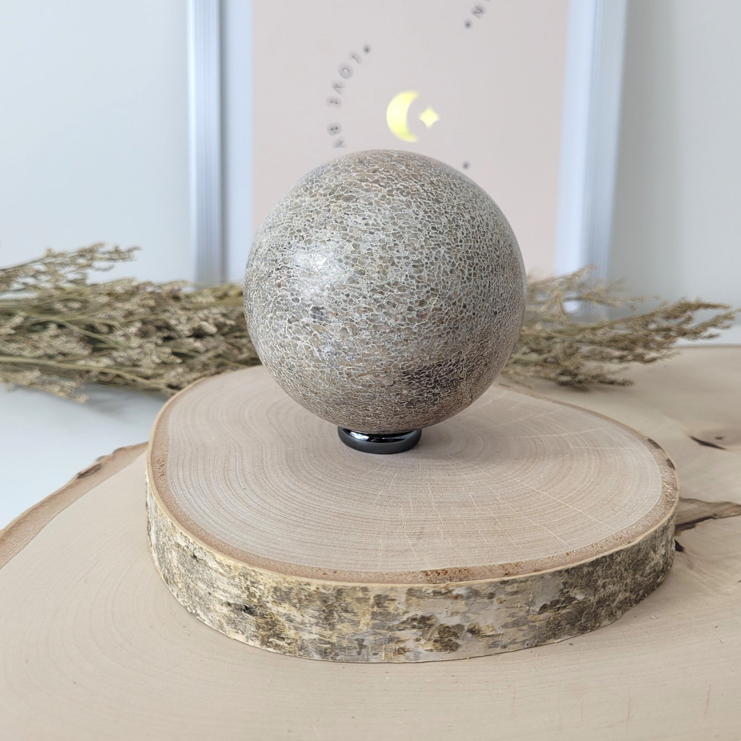 Versteinerter Dinosaurier Knochen Kugel 7,5cm Durchmesser