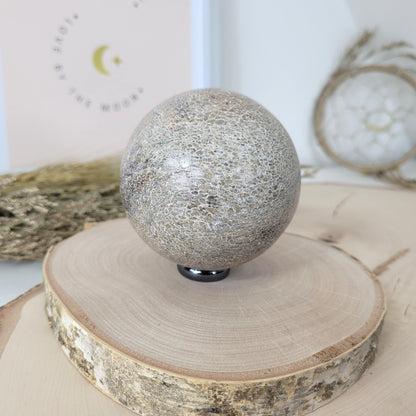 Versteinerter Dinosaurier Knochen Kugel 7,5cm Durchmesser