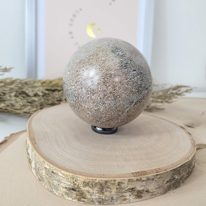 Versteinerter Dinosaurier Knochen Kugel 7,5cm Durchmesser