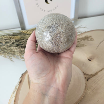 Versteinerter Dinosaurier Knochen Kugel 7,5cm Durchmesser