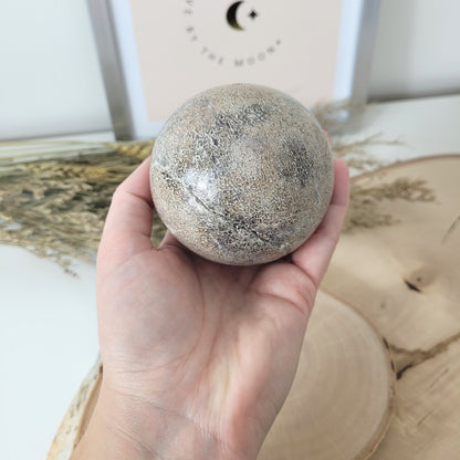 Versteinerter Dinosaurier Knochen Kugel 7,5cm Durchmesser