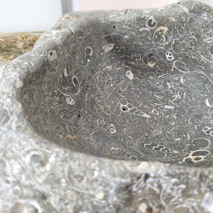 XL Turitella Jaspis fossile Muscheln Schale 26 x 19 cm, 7kg