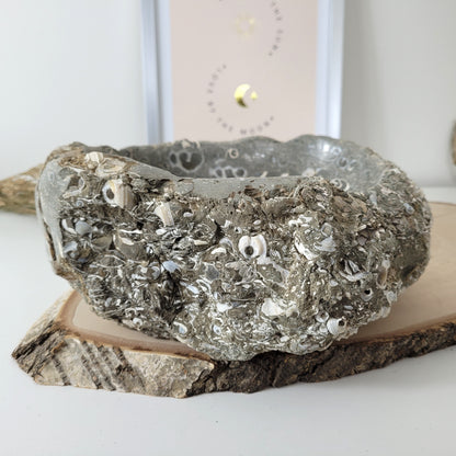 XL Turitella Jaspis fossile Muscheln Schale 23 x 17 cm, 5,4kg