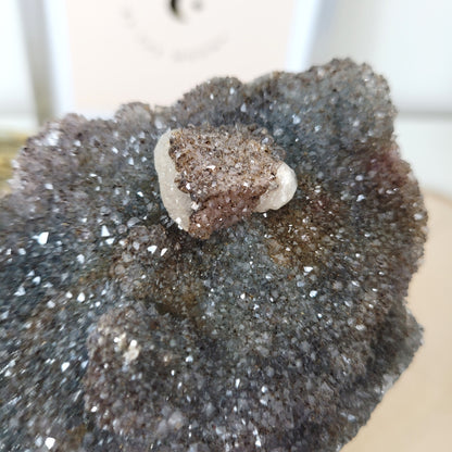 Schwarzer Amethyst 15 x 9 cm, 908g