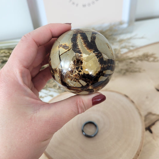 Septarien Kugel 6,2cm Durchmesser