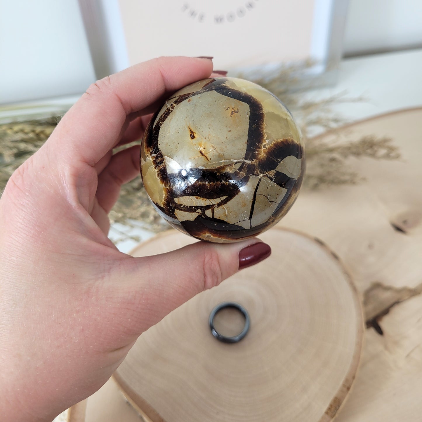 Septarien Kugel 6,2cm Durchmesser