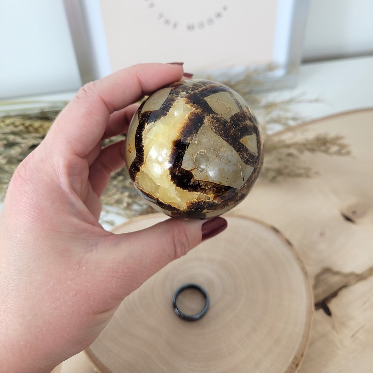 Septarien Kugel 6,2cm Durchmesser